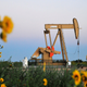 Can oil majors become energy companies?